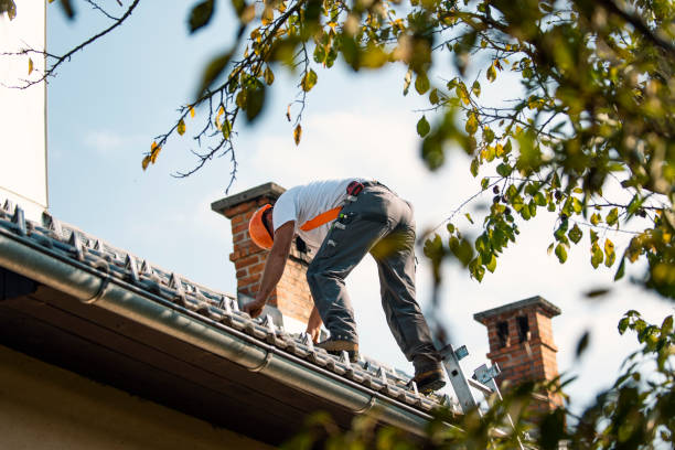 Best Roof Gutter Cleaning  in Milliken, CO