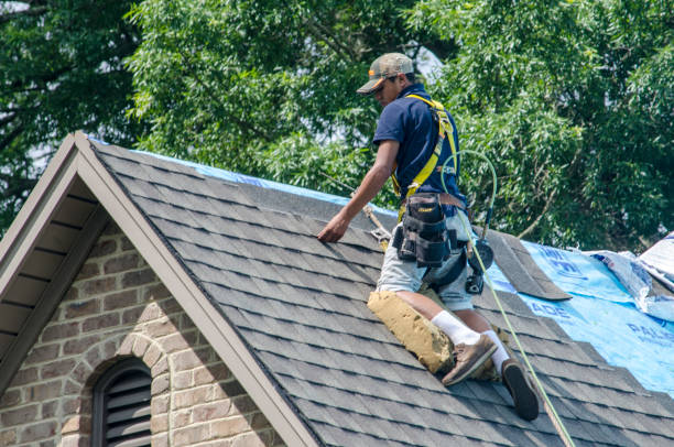 Professional Roofing Contractor in Milliken, CO
